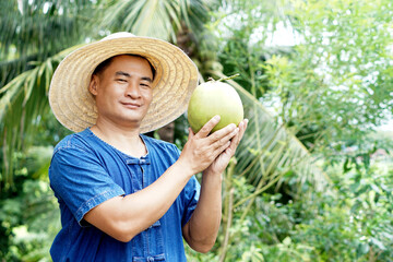 Fototapeta premium Happy Asian man gardener holds organic coconut fruit at his garden . Concept : Agriculture crop in Thailand. Thai farmers grow coconuts 