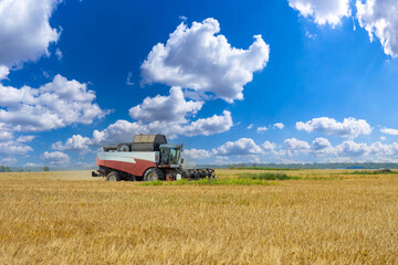 Agricultural landscape. Wheat field with combine. Combine for harvesting wheat. Agricultural landscape with special machinery. Wheat field with blue sky. Grain harvesting. Agricultural industry