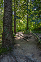 Bieszczady Mountains, Poland, The wildest region in the Poland, Polish Mountains and landscapes, Along the Bieszczady trails, Zwiezlo nature reserve,
