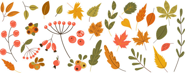 Obraz premium autumn leaves, berries in doodle style vector