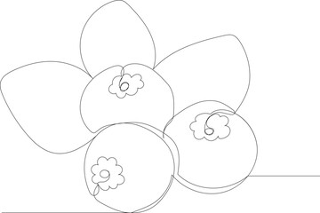 blueberry drawing by one continuous line, vector