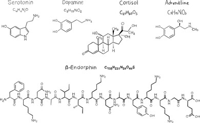 Detailed set featuring the chemical formulae of essential neurotransmitter molecules, including dopamine, serotonin, cortisol, endorphin, and adrenaline. © Kate Kras