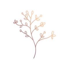 botanical flower plant decoration