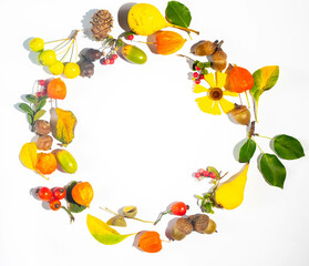 Autumn wreath flat lay. Yellow pear, physalis, cranberries and acorns on a white background. Top view and copy space
