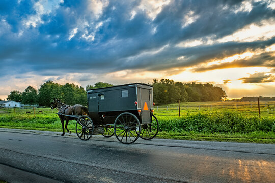 Amish buggy at sunrise on rural Indiana road.