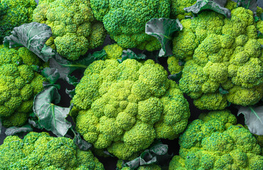 Fresh broccoli close-up. Healthy food. Top view, horizontal