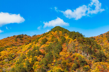 紅葉の瀬戸合峡（栃木県日光市）