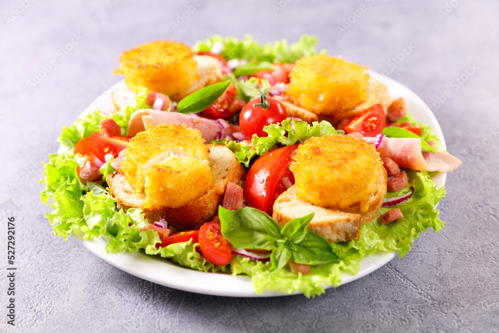 Sticker vegetable salad and toast with fried goat cheese