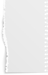 Ripped notepad sheet. Realistic paper page mockup
