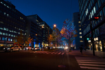 Fototapeta na wymiar Midosuji Avenue Lights in Osaka, Japan