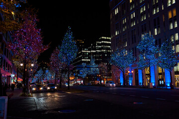 Fototapeta na wymiar Midosuji Avenue Lights in Osaka, Japan