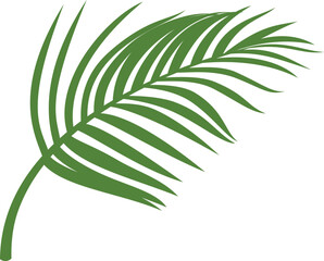Palm leaves. Realistic green branch. Tree foliage