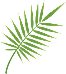 Fototapeta premium Green exotic plant leaf. Jungle foliage icon