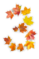 Number 3 from of colorful autumnal maple leaves on white background. Top view, flat lay