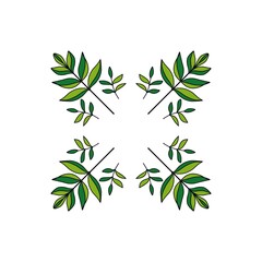 plant and green leaves illustration pattern on white background 