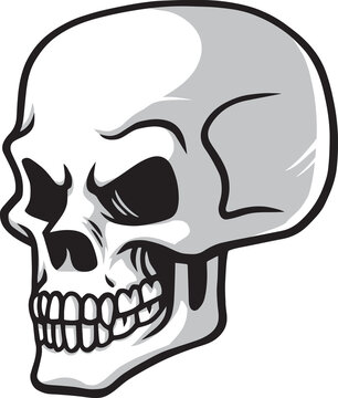 recommend clip art: Skull Logo Cartoon Drawing Icon Illustration Clipart