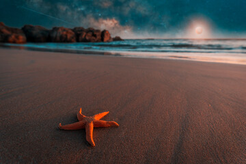 starfish in the sand on the beach at night with sea and Milky Way in the background	