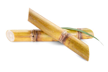 Sugar cane isolated on white background, closeup.