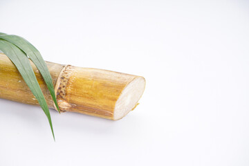 Sugar cane isolated on white background, space for text, close-up.