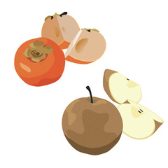 秋のフルーツ　柿と梨　カットされた柿と梨のイラスト・素材セット