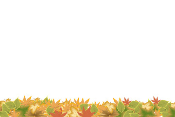 Autumn leaves  on the bottom of the transparent background