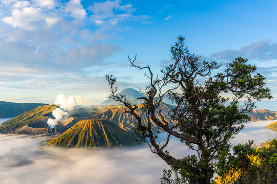  Sunrise at volcano Bromo, Java island, Indonesia. 