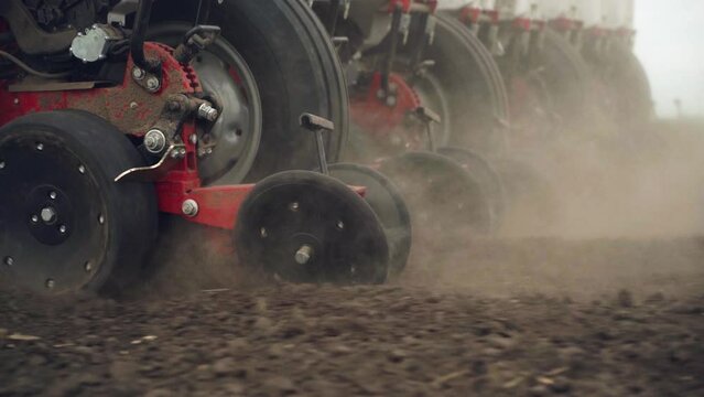 sowing the field with corn grains. tractor works the field with a seeder. close-up