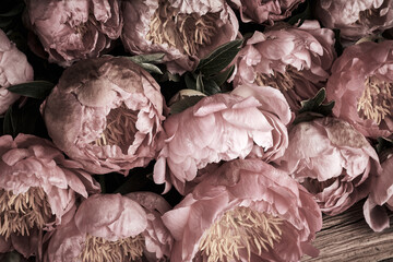 Vintage background with dry peony flowers © Nik_Merkulov