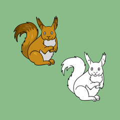 A set of pictures, a bright sitting squirrel, a vector cartoon