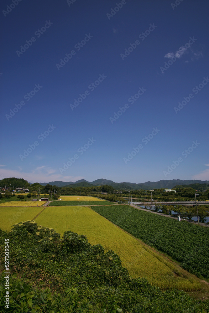 Poster 田園風景　丹波篠山　JR丹波大山駅付近　8月下旬