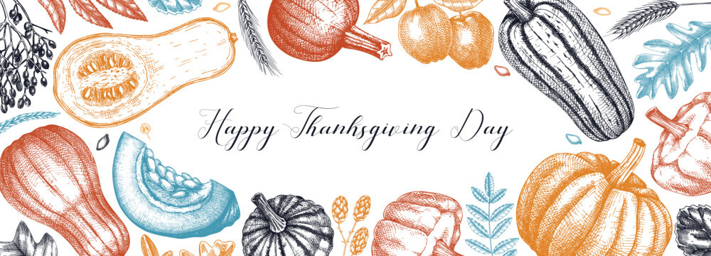 Thanksgiving background. Pumpkins sketches in color.  Autumn plants and fruit drawings. Vector vegetables, butternut squash, marrow, pumpkin sketches. Fall banner design. Harvest festival.