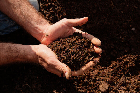 Hand holding organic fertilizer compost humus. Topsoil