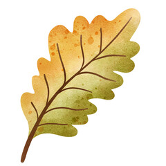 Obraz premium autumn leaf 