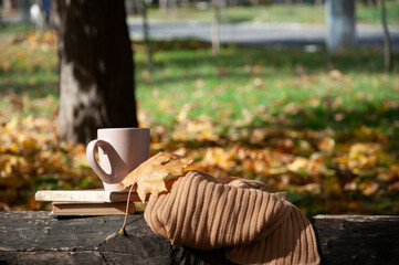 autumn layout for photos, on the bench there is a cup, books and a brown scarf. there are yellow leaves around, there is a place for an inscription. A beautiful autumn landscape.