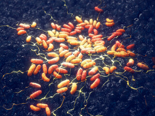 Plague is an infectious disease caused by Yersinia pestis bacteria. Plague (pneumonic, bubonic or septicemic) is a serious bacterial infection that can be deadly