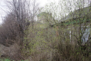 An abandoned and demolished house in the Moscow suburb of Kashira
