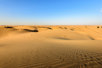 Beautiful dunes of the Middle East, desert landscape with copy space and blue sky