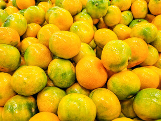 마트 매대에서 판매중인 하우스감귤
