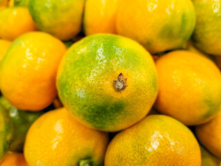 마트 매대에서 판매중인 하우스감귤
