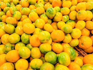 마트 매대에서 판매중인 하우스감귤