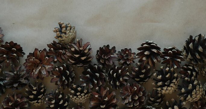 Background from pine cones on craft paper. 4K stop motion animation