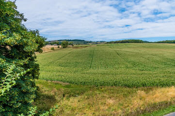 A view over farmland from the Monsal Trail in Derbyshire, UK in summertime