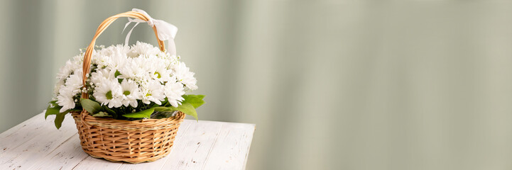 Wicker basket of white chamomile chrysanthemums on wooden background against green textile curtains banner with copy space. Wide panoramic header. Gift flowers basket for the holiday