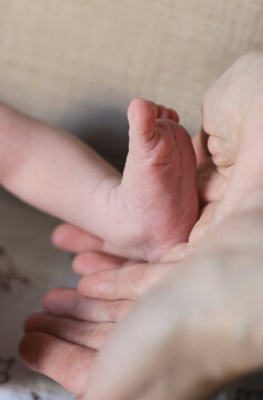 The tiny foot and heel of a newborn baby in the mother's palms