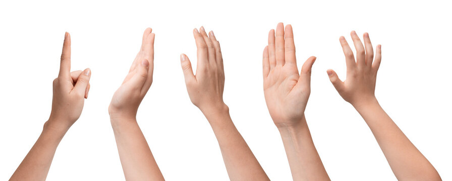 Set of hands raised with multiple gestures, cut out