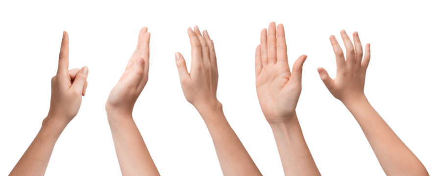 Set of hands raised with multiple gestures, cut out