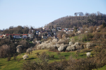 Fototapeta na wymiar The panorama of the mountain Hohenstaufen, Baden Wuerttemberg