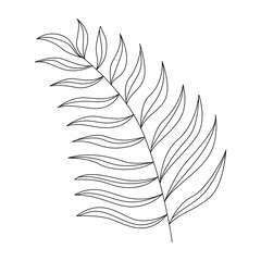 Tropical leaf line icon.