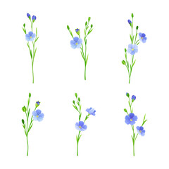 Flax or Linseed as Cultivated Flowering Plant Species with Pale Blue Flowers on Stem Vector Set