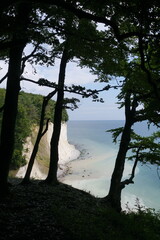 Obraz premium Kreidekueste bei Sassnitz auf Ruegen